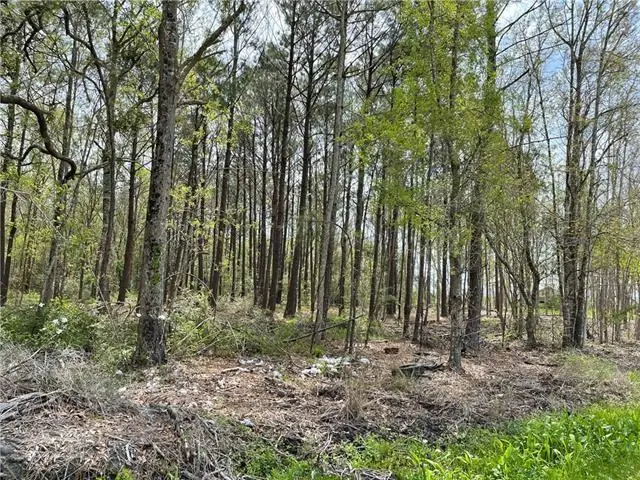 Downey Road, Slidell, LA 70461 - #1