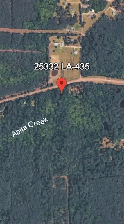 25332 Hwy 435 Highway, Abita Springs, LA 70420 - #2