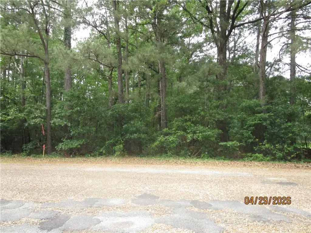 TBD Taylor Road, Dry Prong, LA 71423 - #1
