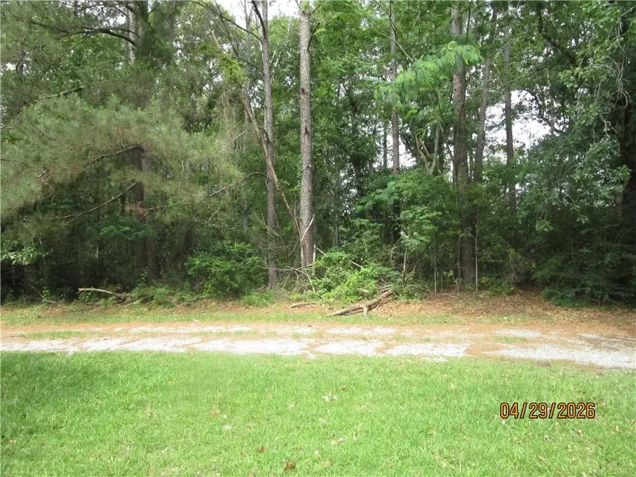 TBD Taylor Road, Dry Prong, LA 71423 - #2