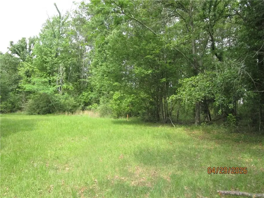 TBD Taylor Road, Dry Prong, LA 71423 - #3
