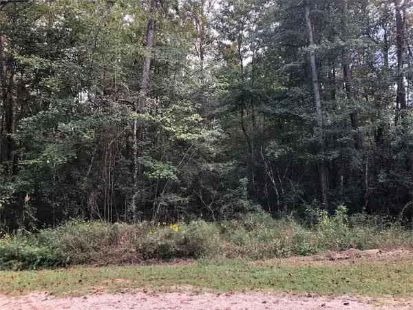 Lot 16 Crabapple Lane, Franklinton, LA 70438