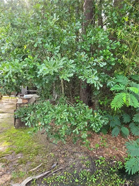 Daisy Street, Covington, LA 70435