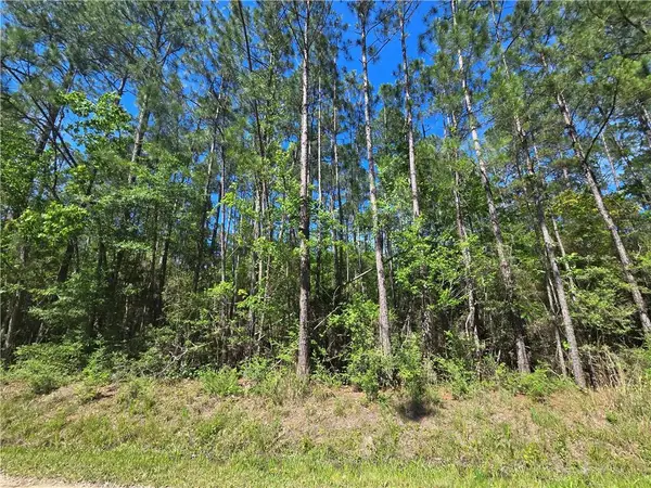 0 Niblick Street, Abita Springs, LA 70420