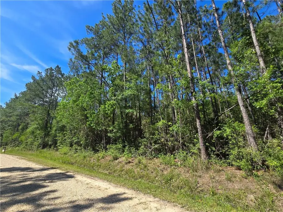 0 Quimet Drive, Abita Springs, LA 70420 - #2