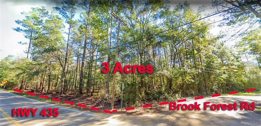 0 Brook Forest Road, Abita Springs, LA 70420 - #2