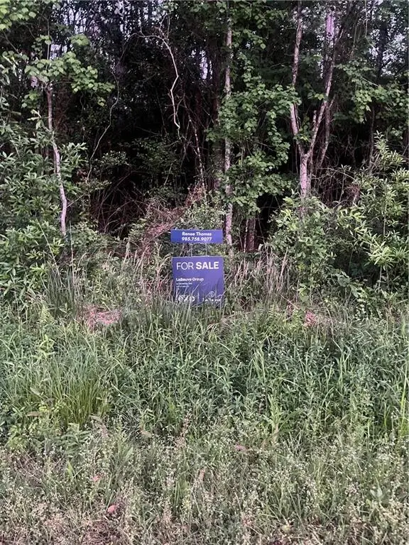 Chapman Drive, Abita Springs, LA 70420