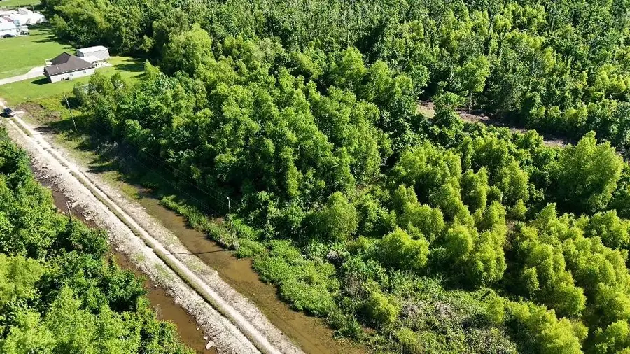 2836 Falcon Court Road, Paulina, LA 70763 - #3