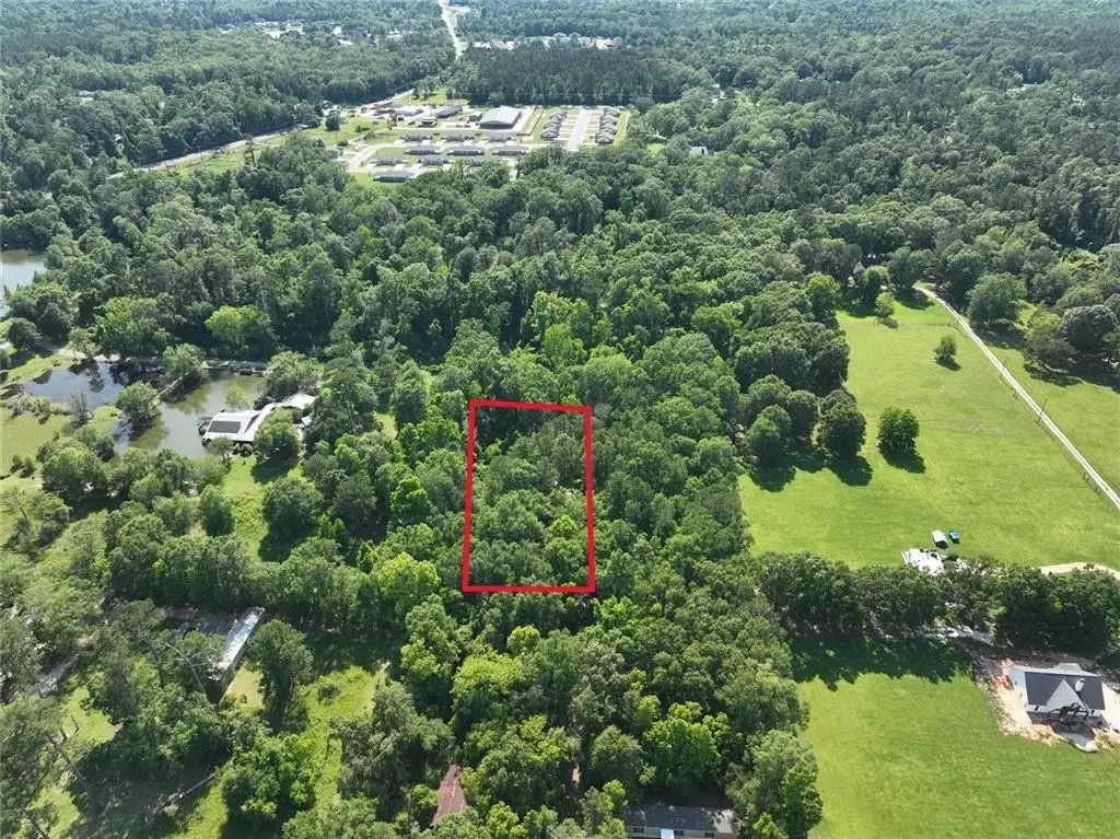 L-3 Sauier Road, Ponchatoula, LA 70454 - #1