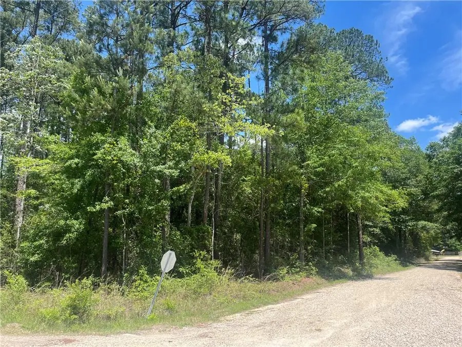 Niblick Street, Abita Springs, LA 70420 - #2