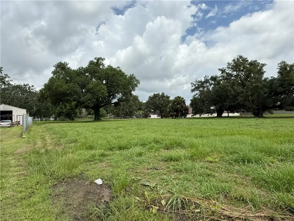 Oak Tree Road, Belle Chasse, LA 70037 - #1