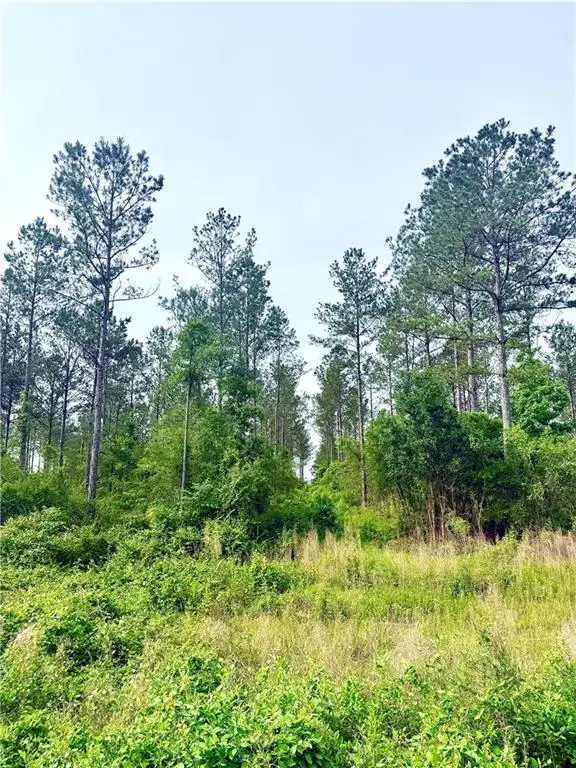 Lot1 TBD Lee Road, Franklinton, LA 70438 - #2