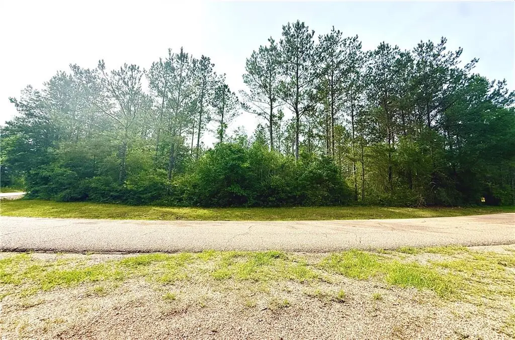 Lot5 TBD Lee Road, Franklinton, LA 70438 - #1