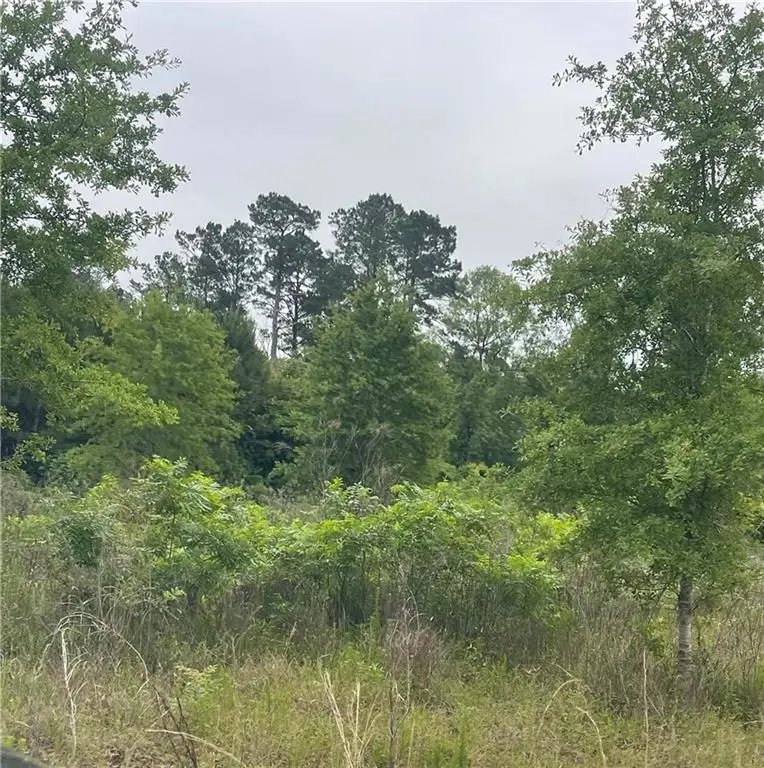 121 Ten Mile Road, Pitkin, LA 70656 - #3