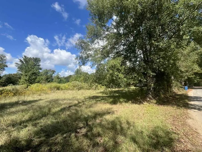 96 Borland Road, Deville, LA 71328 - #1