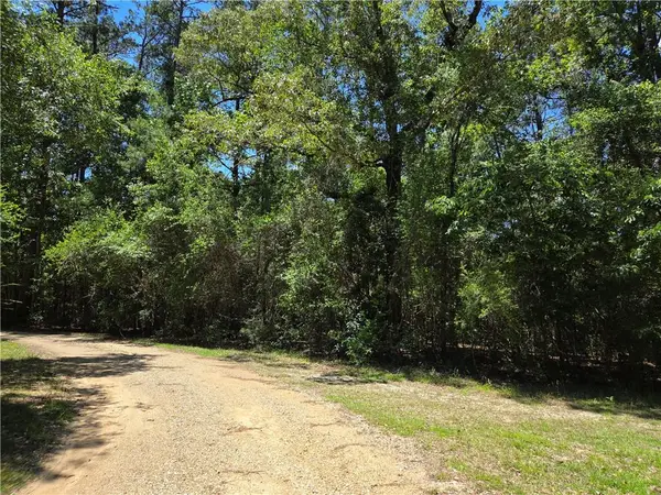Exnicios Drive, Folsom, LA 70437