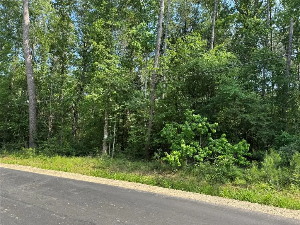 Tract 1-D Lower Rome Road, Springfield, LA 70462 - #1