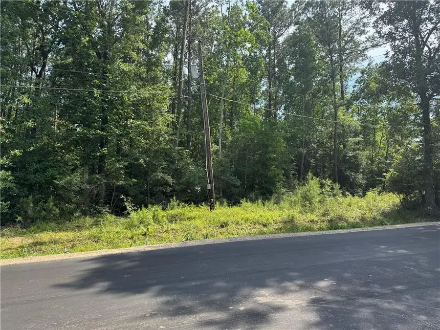 Tract 1-D Lower Rome Road, Springfield, LA 70462 - #3