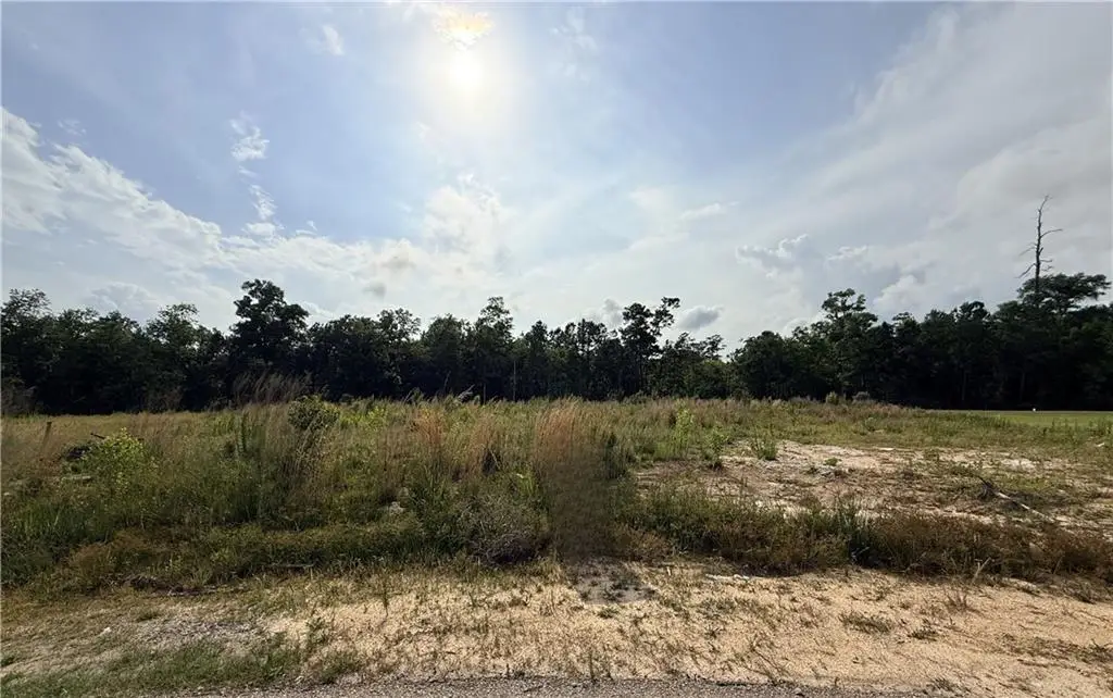 112 Thunderbird Drive, Covington, LA 70433 - #1