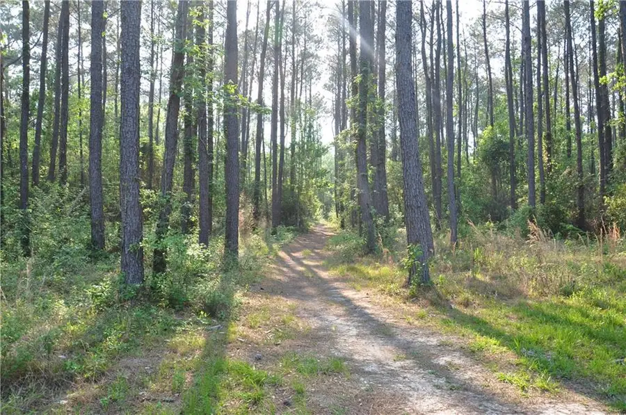68267 Highway 41, Pearl River, LA 70452 - #2