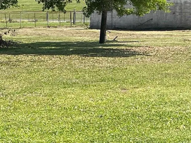 Lot 3 E 15th Street, Reserve, LA 70084 - #1