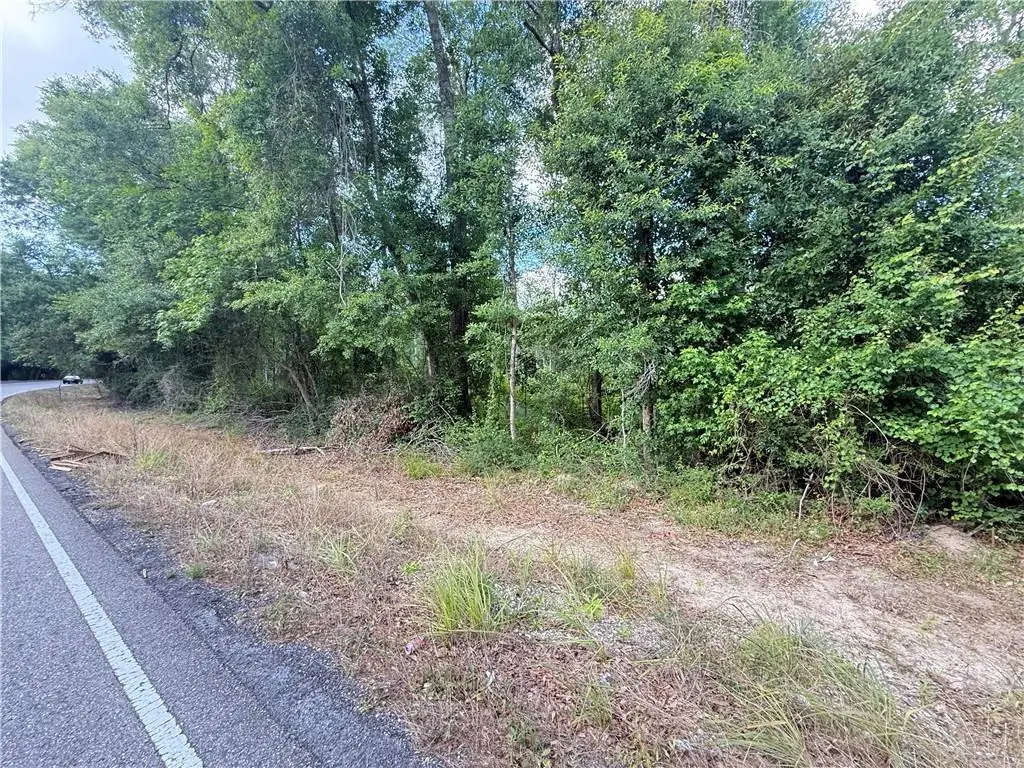 62046 Highway 1090, Pearl River, LA 70452 - #1