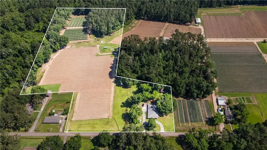 353 Larussa Lane Lane, Independence, LA 70443 - #3