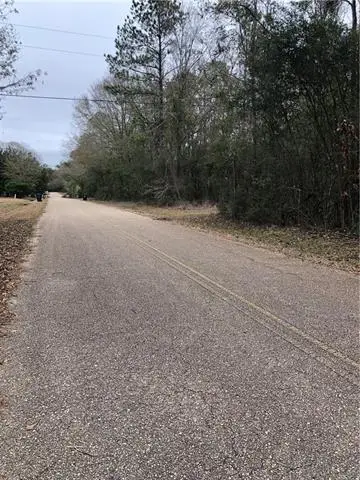 Lot 1 Chenel Street, Folsom, LA 70437 - #1