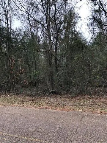 Lot 1 Chenel Street, Folsom, LA 70437 - #2