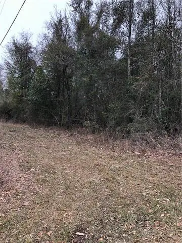 Lot 1 Chenel Street, Folsom, LA 70437 - #3