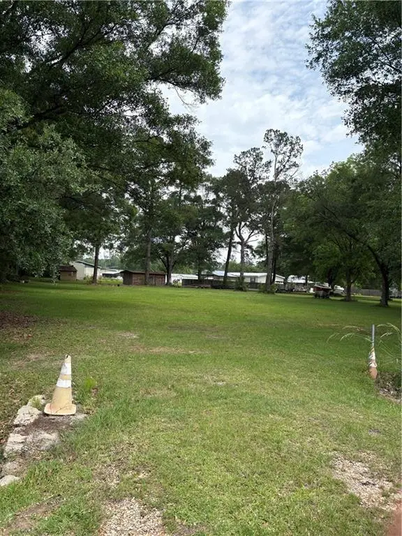 26787 Hwy 42 Highway, Springfield, LA 70462 - #3
