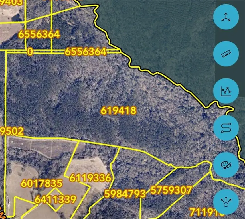 220 Acres Z Mcdaniel Road, Kentwood, LA 70444 - #2