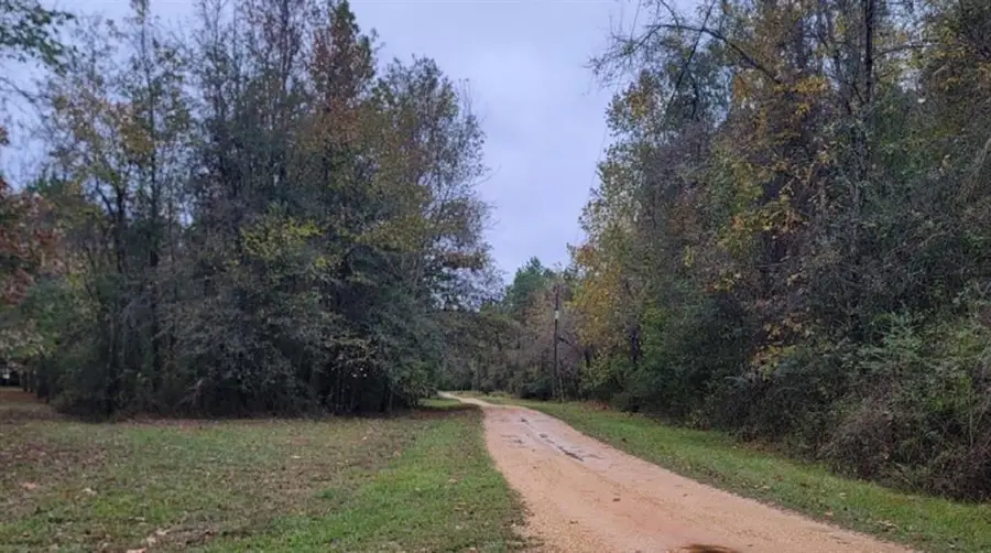 lot 90,91,92 Sandbar Road, Angie, LA 70426 - #2