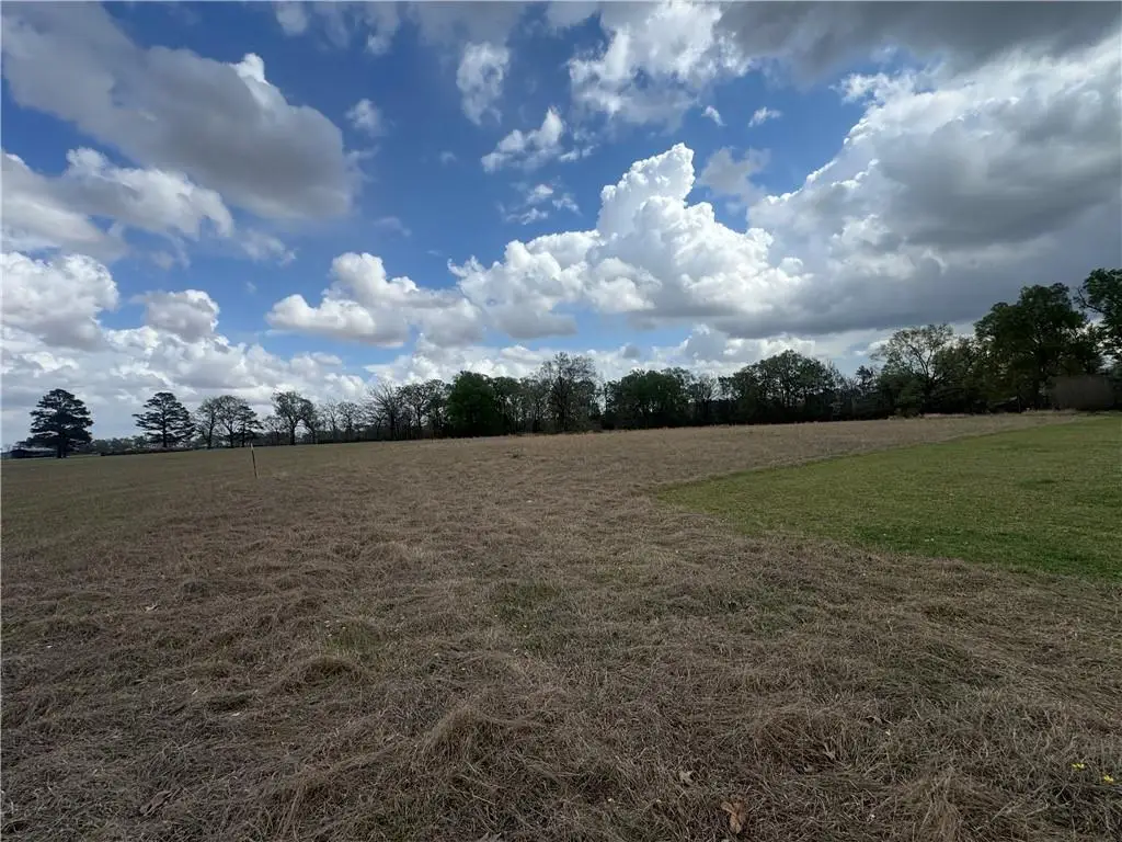 0 Effie Highway, Deville, LA 71328 - #1