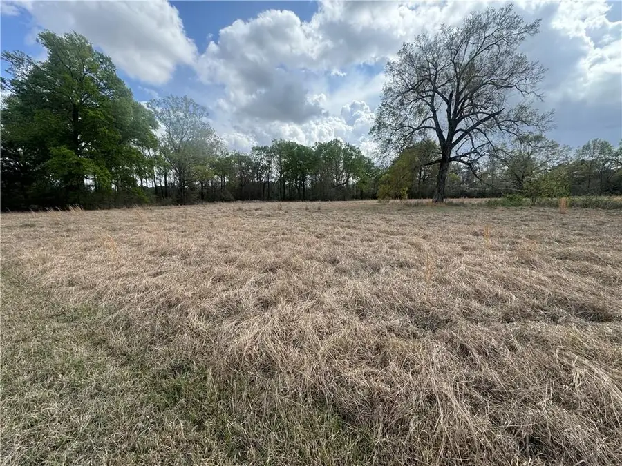 0 Effie Highway, Deville, LA 71328 - #3