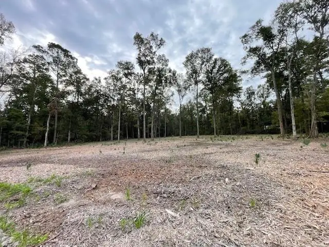 39092 Keaghey Road, Ponchatoula, LA 70454 - #3