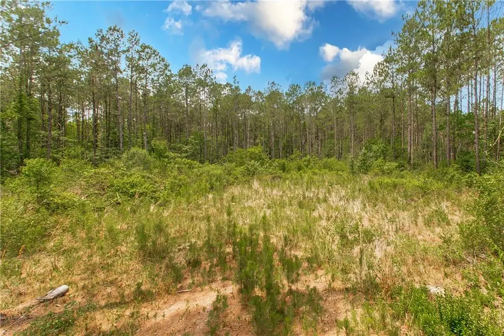 76317 Bob Levy Road, Abita Springs, LA 70420 - #1