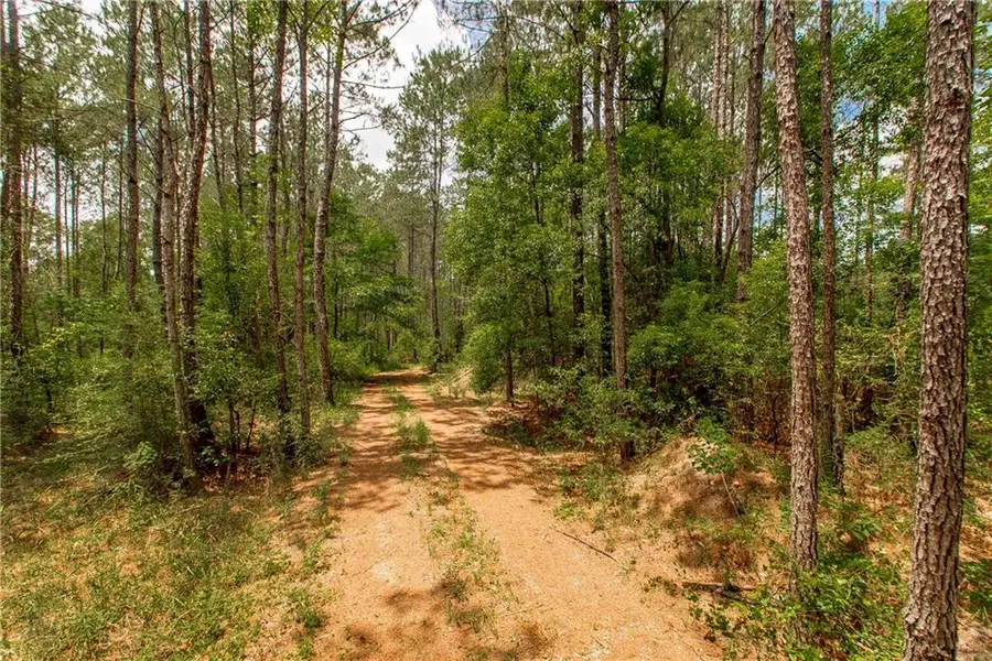 76317 Bob Levy Road, Abita Springs, LA 70420 - #3