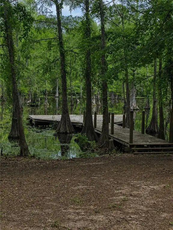 765 Steamset Road, Colfax, LA 71417 - #2