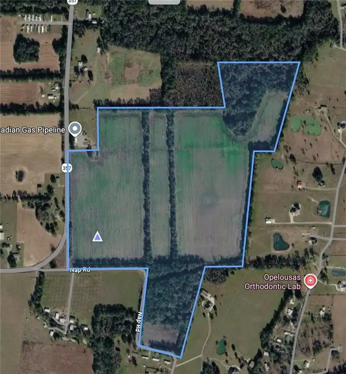 Nap Road, Opelousas, LA 70570 - #1