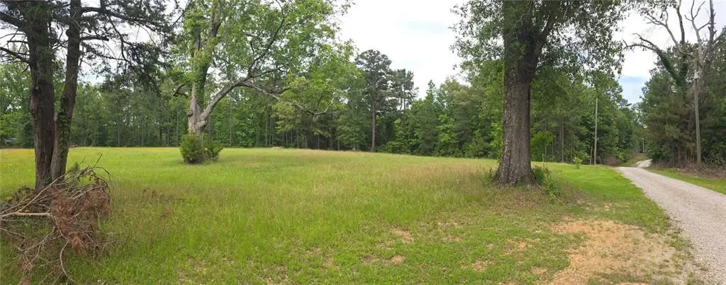 8663 Hwy 165 Highway, Pollock, LA 71467 - #1