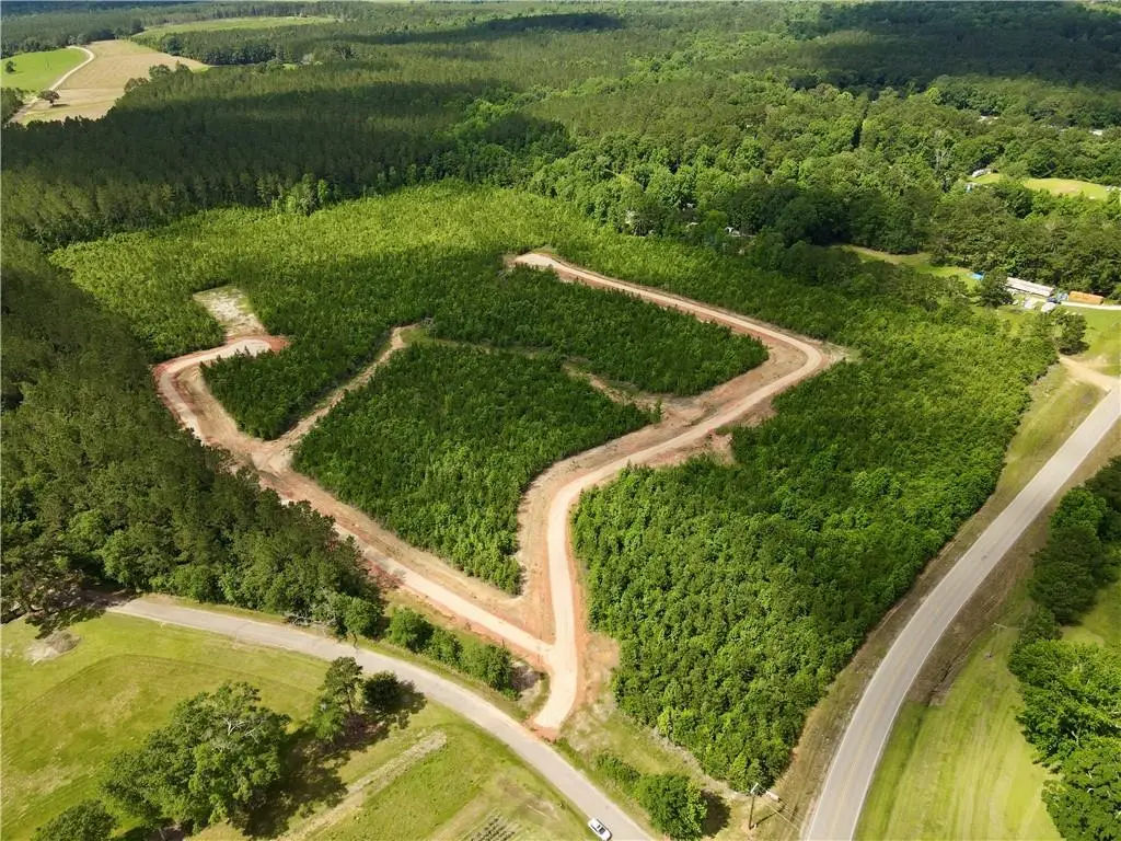 Parcel 6 436 Highway, Franklinton, LA 70438 - #1
