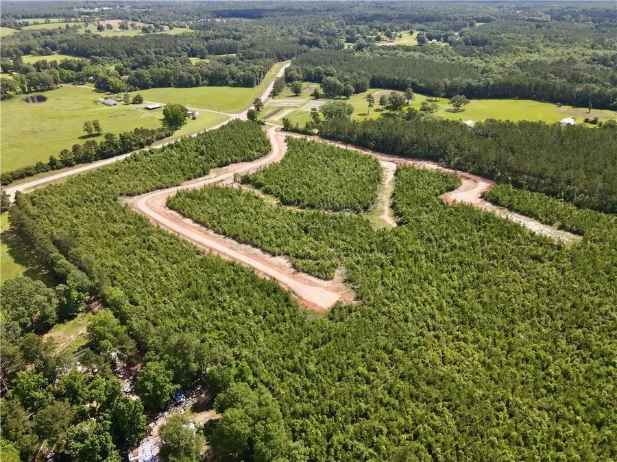 Parcel 6 436 Highway, Franklinton, LA 70438 - #2