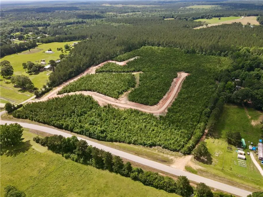 Parcel 6 436 Highway, Franklinton, LA 70438 - #3