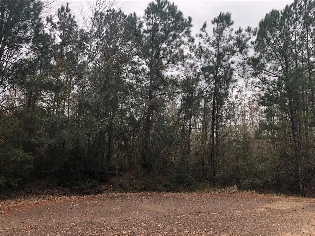 419 Parlange Drive, Pearl River, LA 70452 - #1