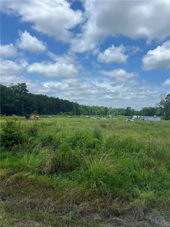 Hwy 51 Highway, Tangipahoa, LA 70465 - #2