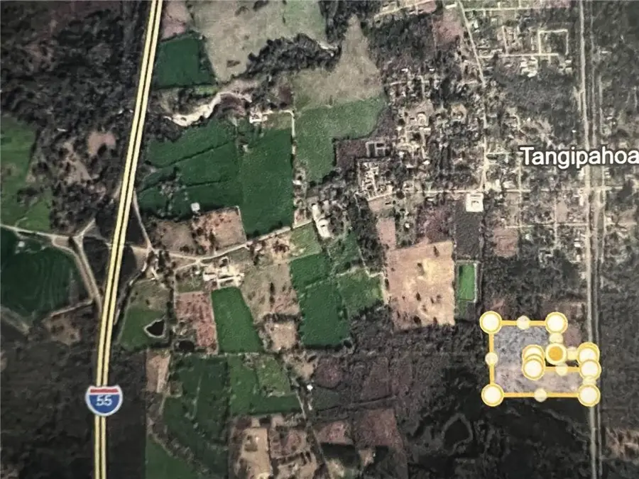 Hwy 51 Highway, Tangipahoa, LA 70465 - #3