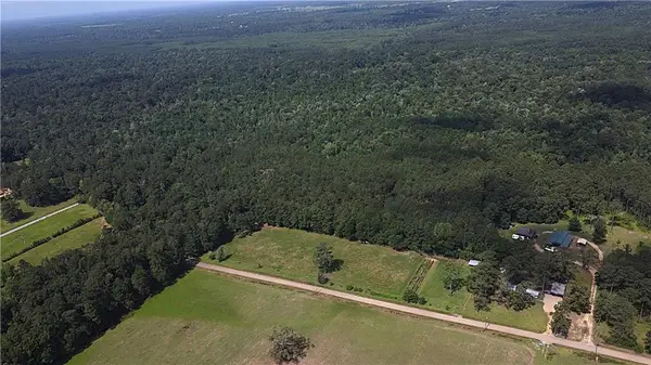 71 Acres Pierre Cemetery Road, Folsom, LA 70437