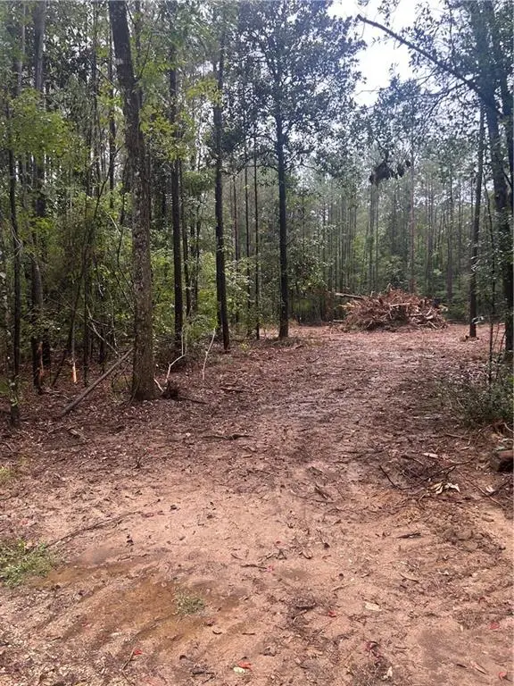 TBD Bennett Road, Independence, LA 70443 - #1
