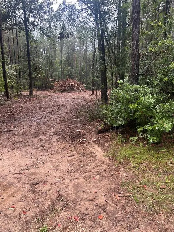 TBD Bennett Road, Independence, LA 70443 - #2